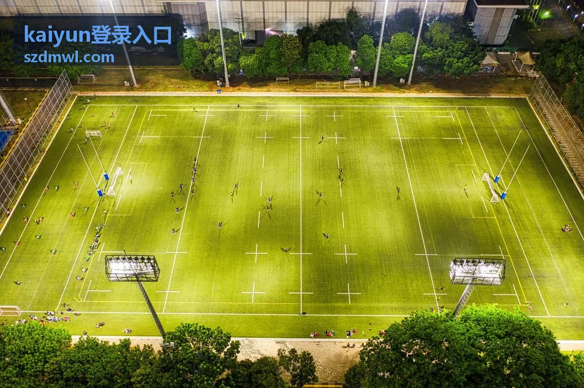 进阶会员线路切换与专属内容的展示图